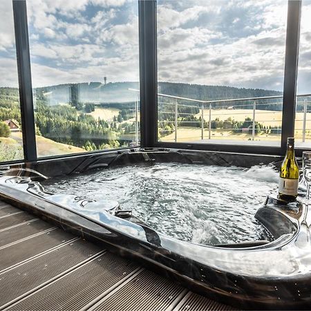 Wellness Villa Klinovec Views Loučná pod Klínovcem エクステリア 写真