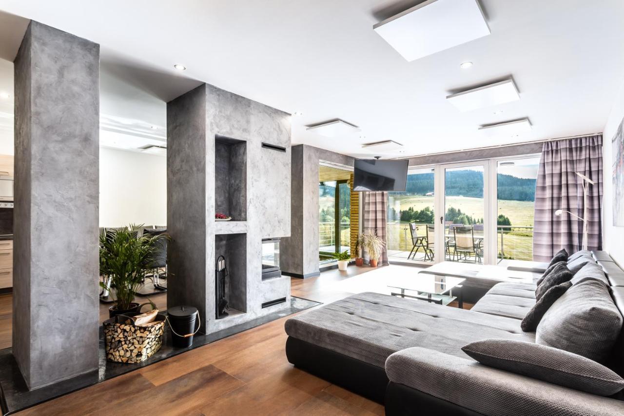 Wellness Villa Klinovec Views Loučná pod Klínovcem エクステリア 写真