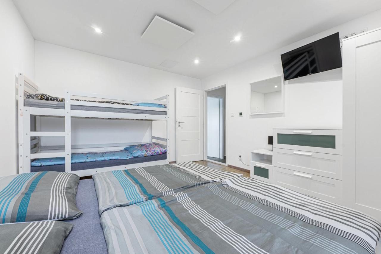 Wellness Villa Klinovec Views Loučná pod Klínovcem エクステリア 写真