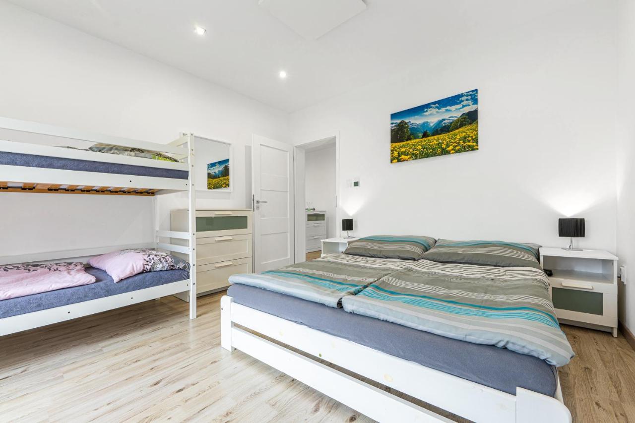 Wellness Villa Klinovec Views Loučná pod Klínovcem エクステリア 写真