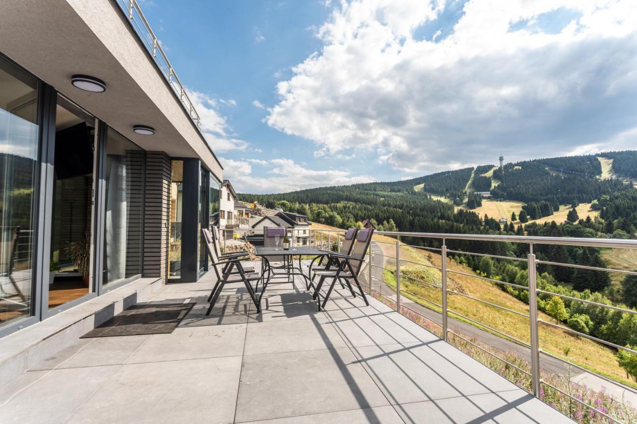Wellness Villa Klinovec Views Loučná pod Klínovcem エクステリア 写真