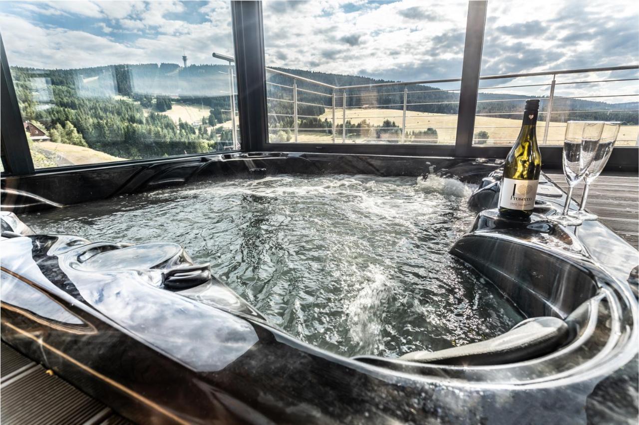 Wellness Villa Klinovec Views Loučná pod Klínovcem エクステリア 写真