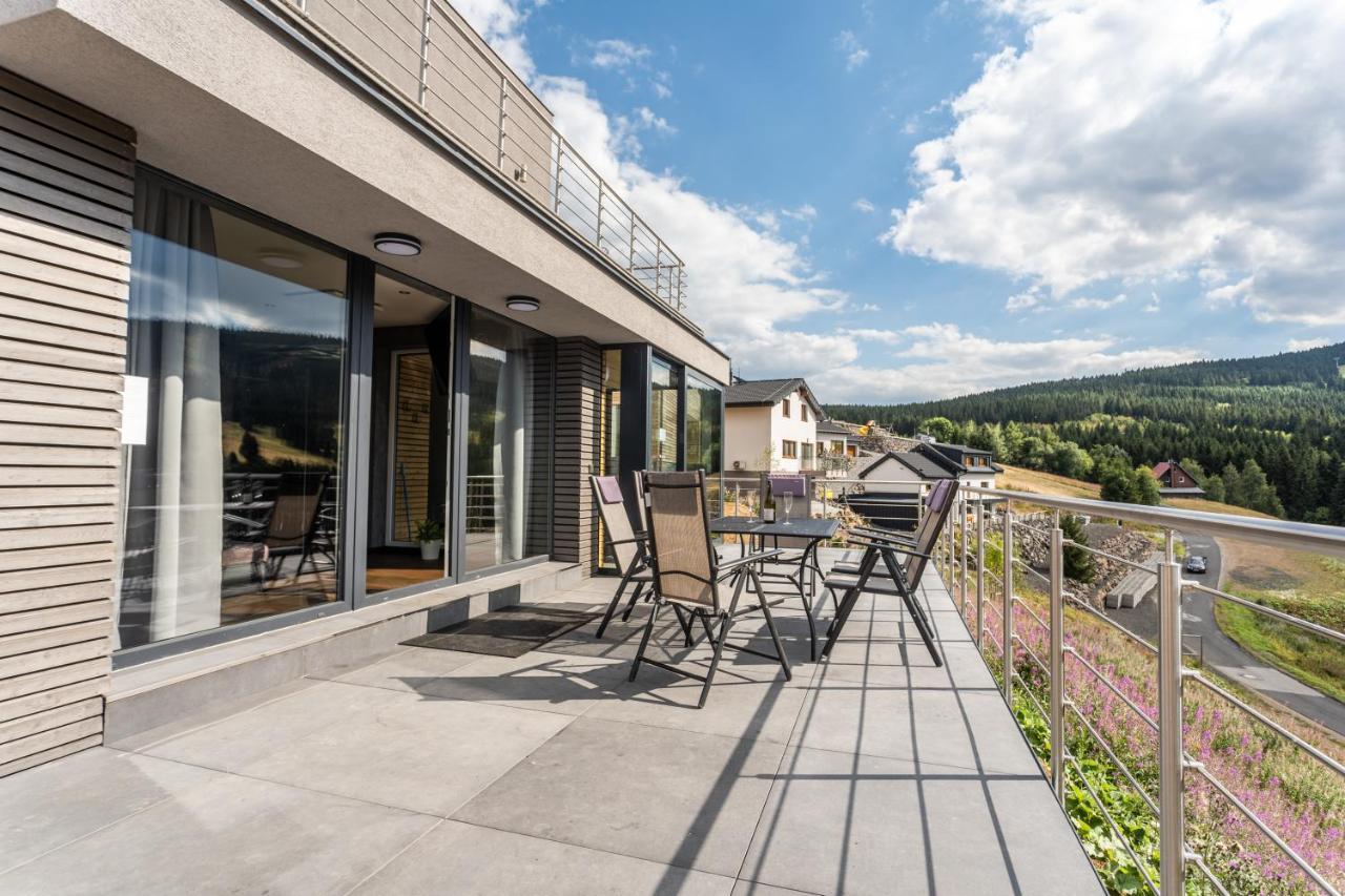 Wellness Villa Klinovec Views Loučná pod Klínovcem エクステリア 写真