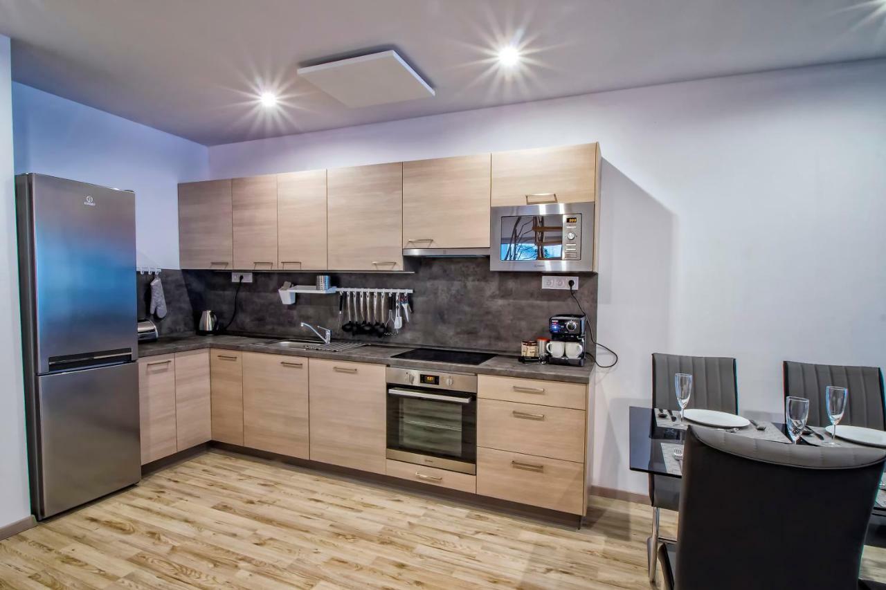 Wellness Villa Klinovec Views Loučná pod Klínovcem エクステリア 写真
